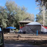 Review photo of Boulder Beach Campground — Lake Mead National Recreation Area by Les W., December 25, 2020
