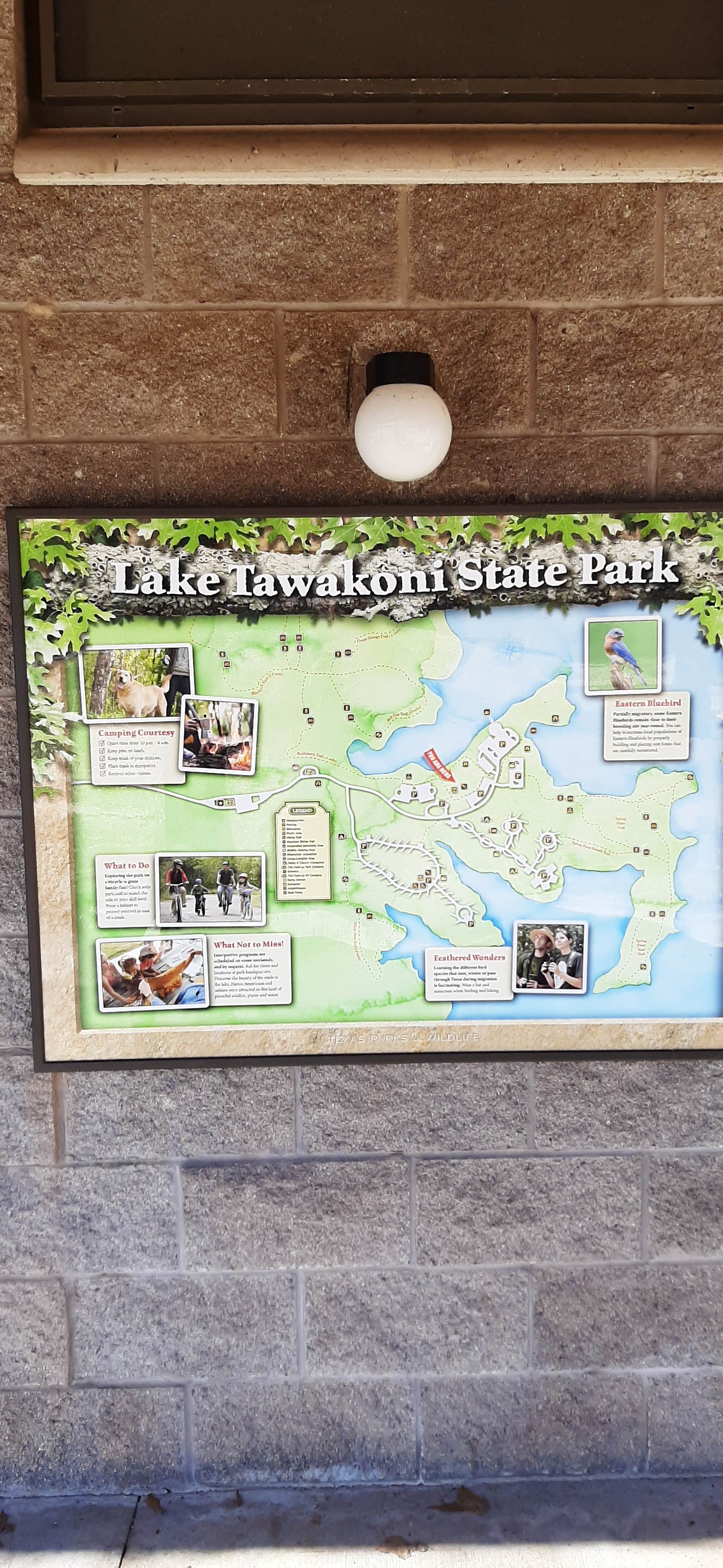 Camper-submitted photo at Lake Tawakoni State Park Campground near Wills Point, TX