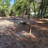 Review photo of Mike Roess Gold Head Branch State Park Campground & Cabins by Marlene V., December 25, 2020