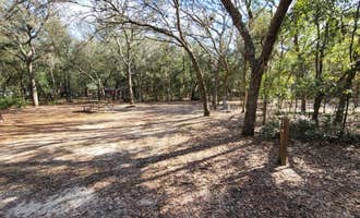 Camping near Sleepy hollow on Lake Brooklyn: Mike Roess Gold Head Branch State Park Campground, Keystone Heights, Florida