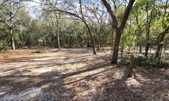 Camping near Ordway-Swisher Biological Station: Mike Roess Gold Head Branch State Park Campground, Keystone Heights, Florida