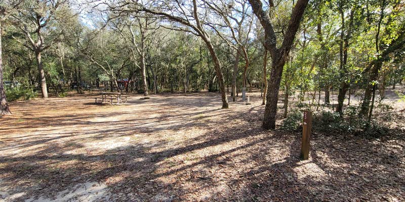 Camper submitted image from Mike Roess Gold Head Branch State Park Campground & Cabins