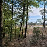 Review photo of Mike Roess Gold Head Branch State Park Campground & Cabins by Marlene V., December 25, 2020