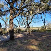 Review photo of Mike Roess Gold Head Branch State Park Campground & Cabins by Marlene V., December 25, 2020