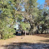 Review photo of Mike Roess Gold Head Branch State Park Campground & Cabins by Marlene V., December 25, 2020