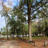 Review photo of Mike Roess Gold Head Branch State Park Campground & Cabins by Marlene V., December 25, 2020