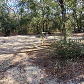 Review photo of Mike Roess Gold Head Branch State Park Campground & Cabins by Marlene V., December 25, 2020