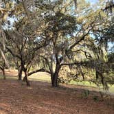 Review photo of Mike Roess Gold Head Branch State Park Campground & Cabins by Marlene V., December 25, 2020