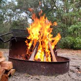 Review photo of Mike Roess Gold Head Branch State Park Campground & Cabins by Marlene V., December 25, 2020