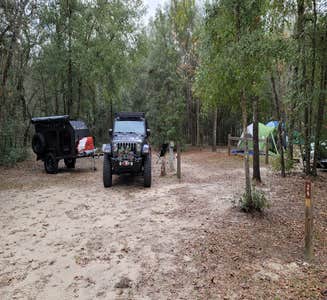 Camper-submitted photo from Juniper Springs Rec Area - Tropical Camp Area