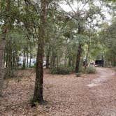 Review photo of Mike Roess Gold Head Branch State Park Campground by Marlene V., December 25, 2020