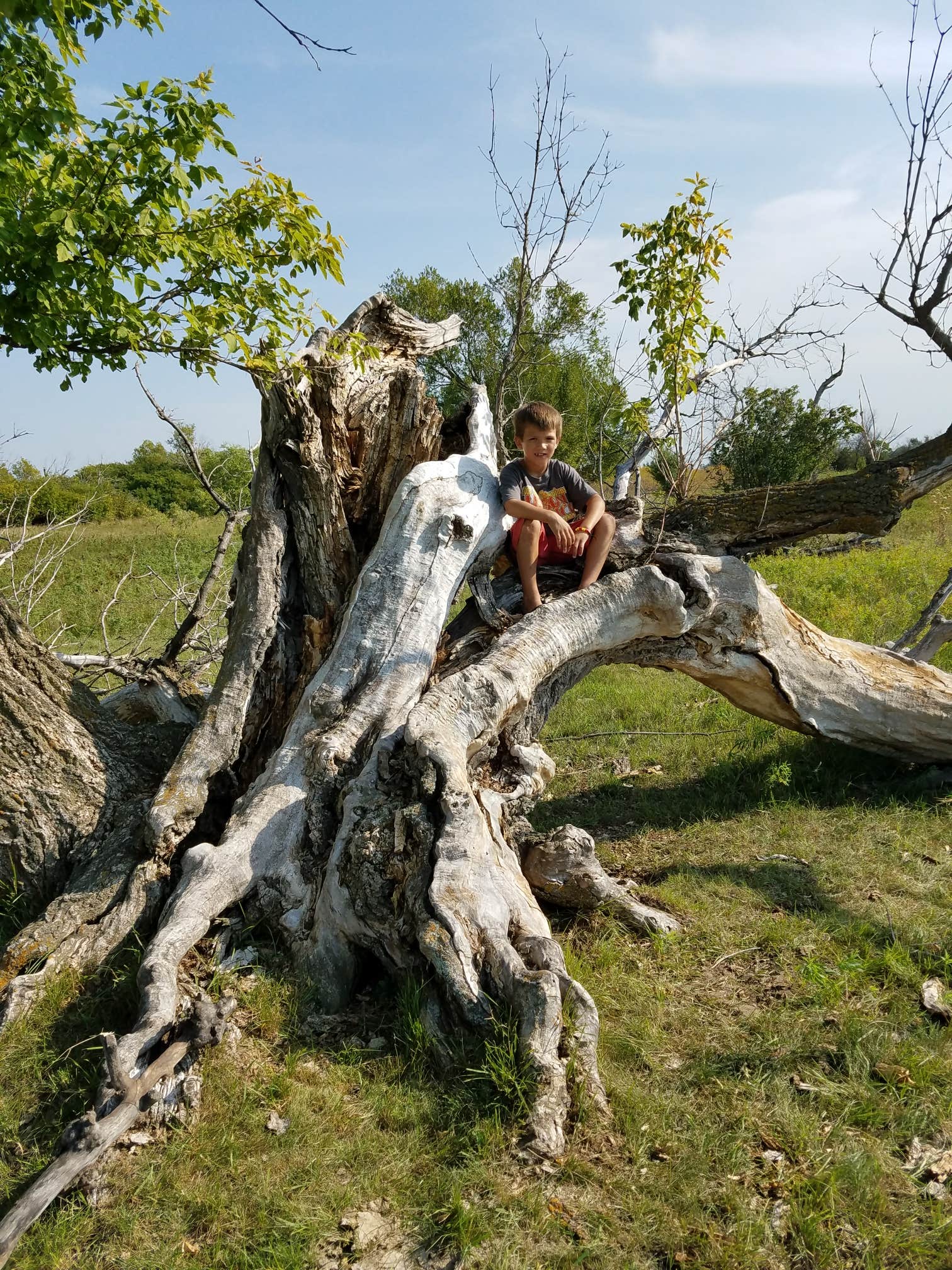 Camper submitted image from Sheyenne National Grassland - 2