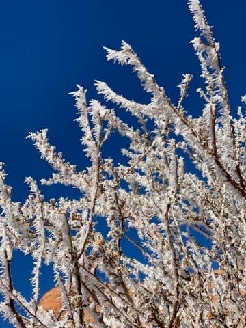 Camper-submitted photo at Gemini Bridges Campground near Castle Valley, UT