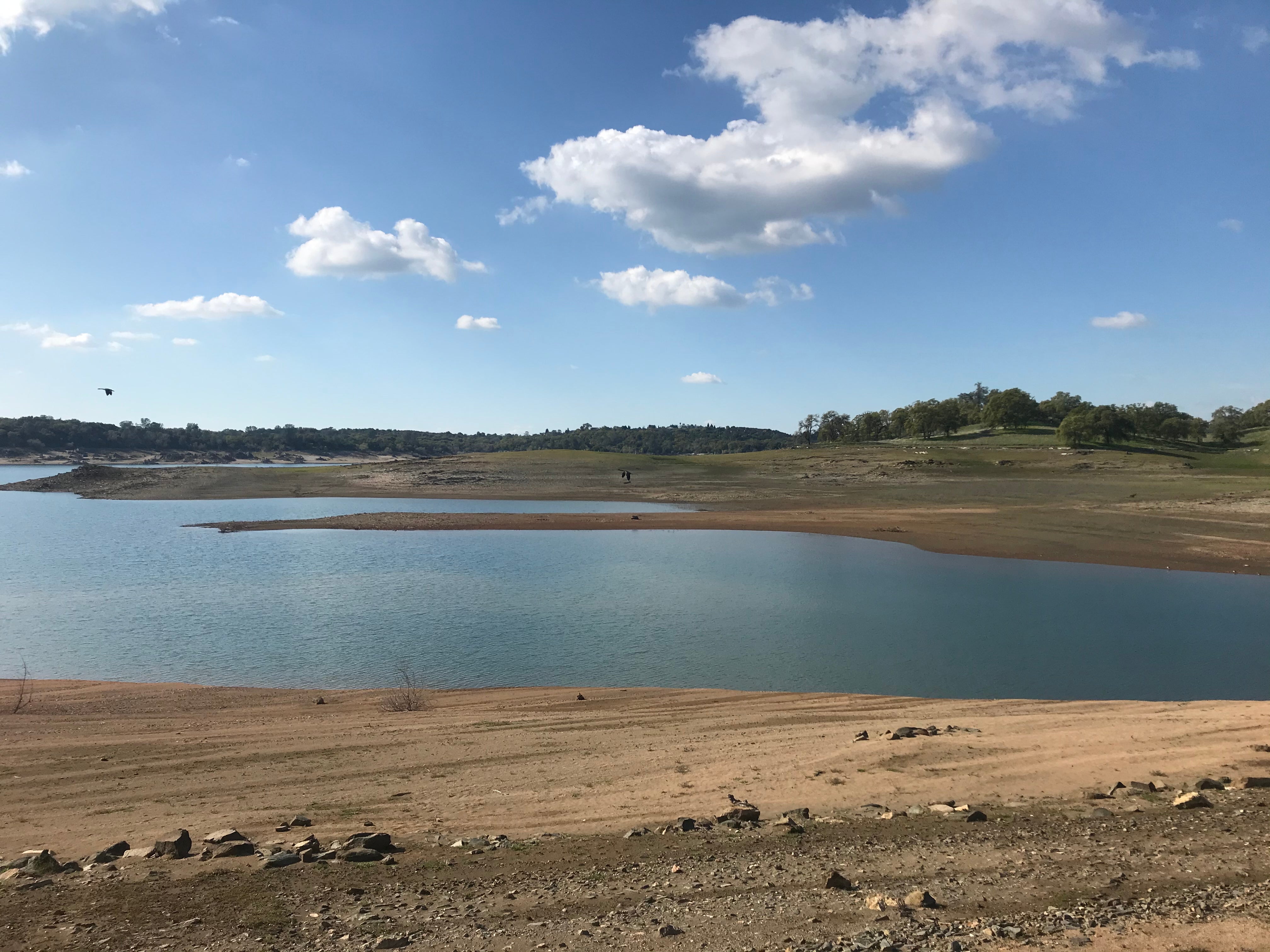 Camper submitted image from Peninsula Campground — Folsom Lake State Recreation Area - 1