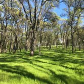 Review photo of Peninsula Campground — Folsom Lake State Recreation Area by Christian N., December 25, 2020