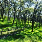 Review photo of Peninsula Campground — Folsom Lake State Recreation Area by Christian N., December 25, 2020