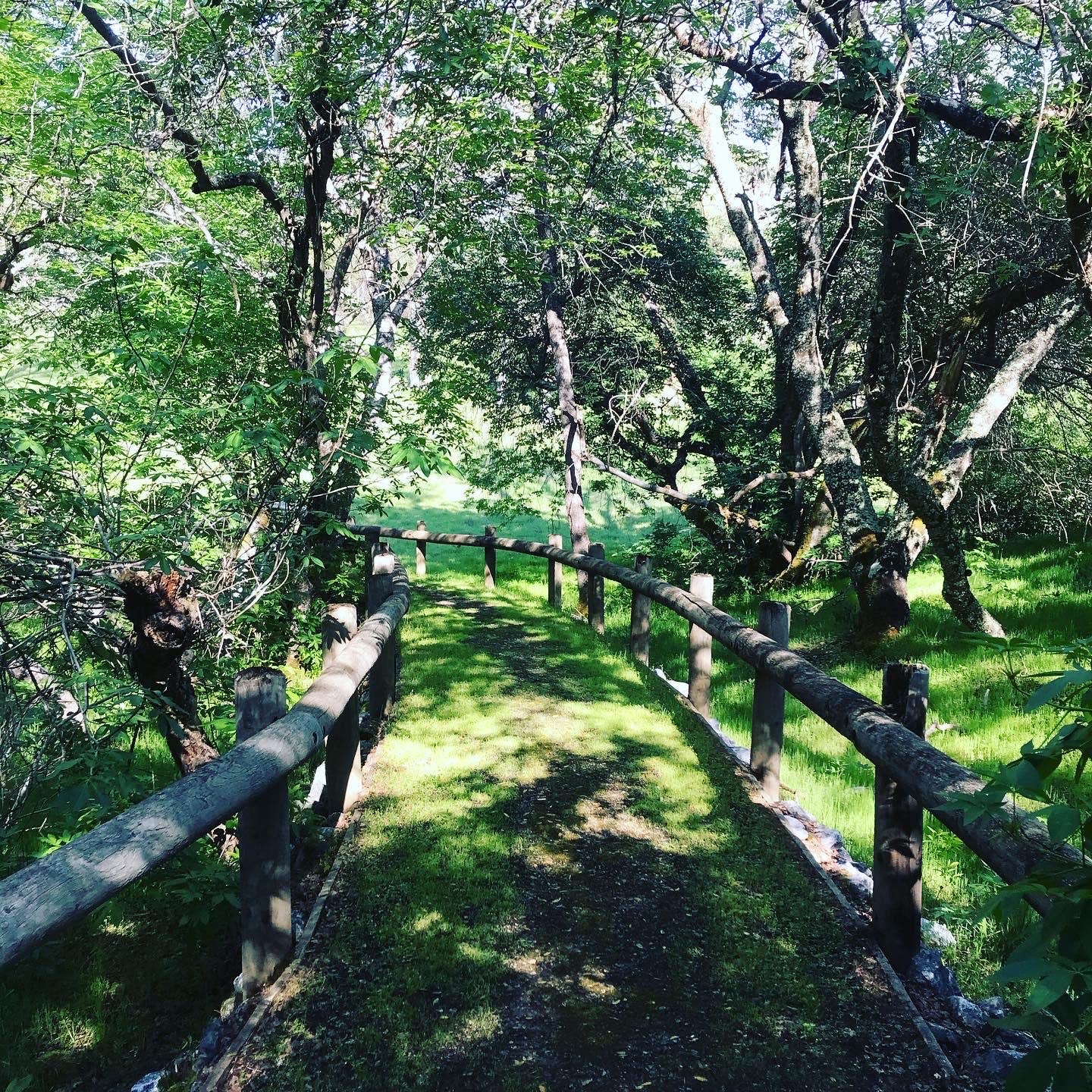 Camper-submitted photo at Peninsula Campground — Folsom Lake State Recreation Area near Auburn, CA