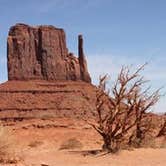 Review photo of Monument Valley KOA by Daniel L., May 26, 2018