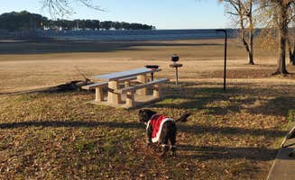 Richard's photo of camping with pets at Persimmon Hill(enid Lake) near Oxford, MS