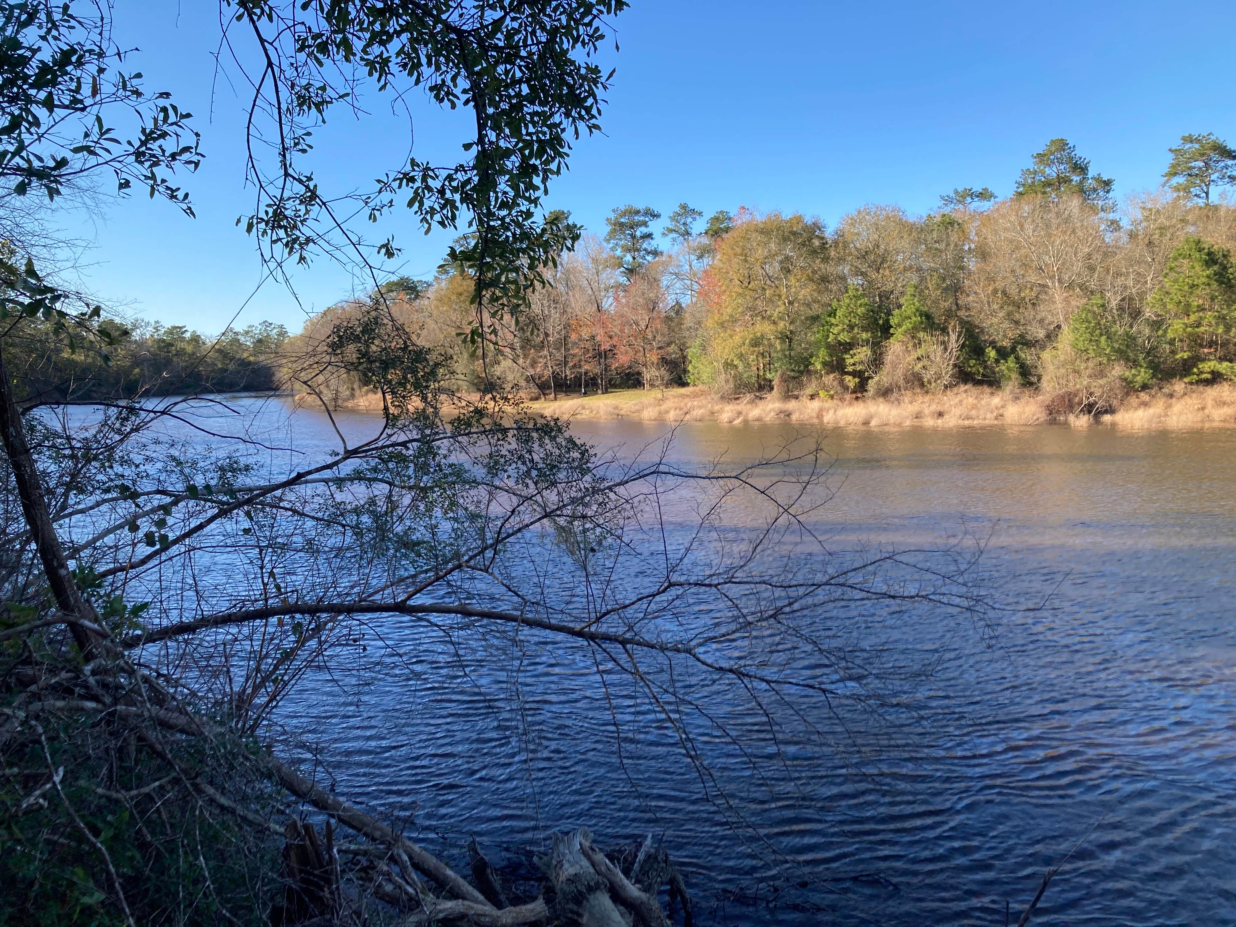 Camper submitted image from Village Creek State Park Campground - 1