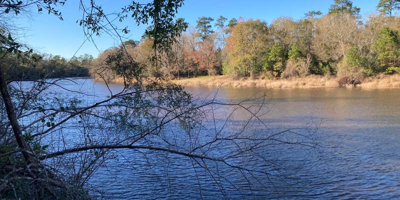 Camper submitted image from Village Creek State Park Campground