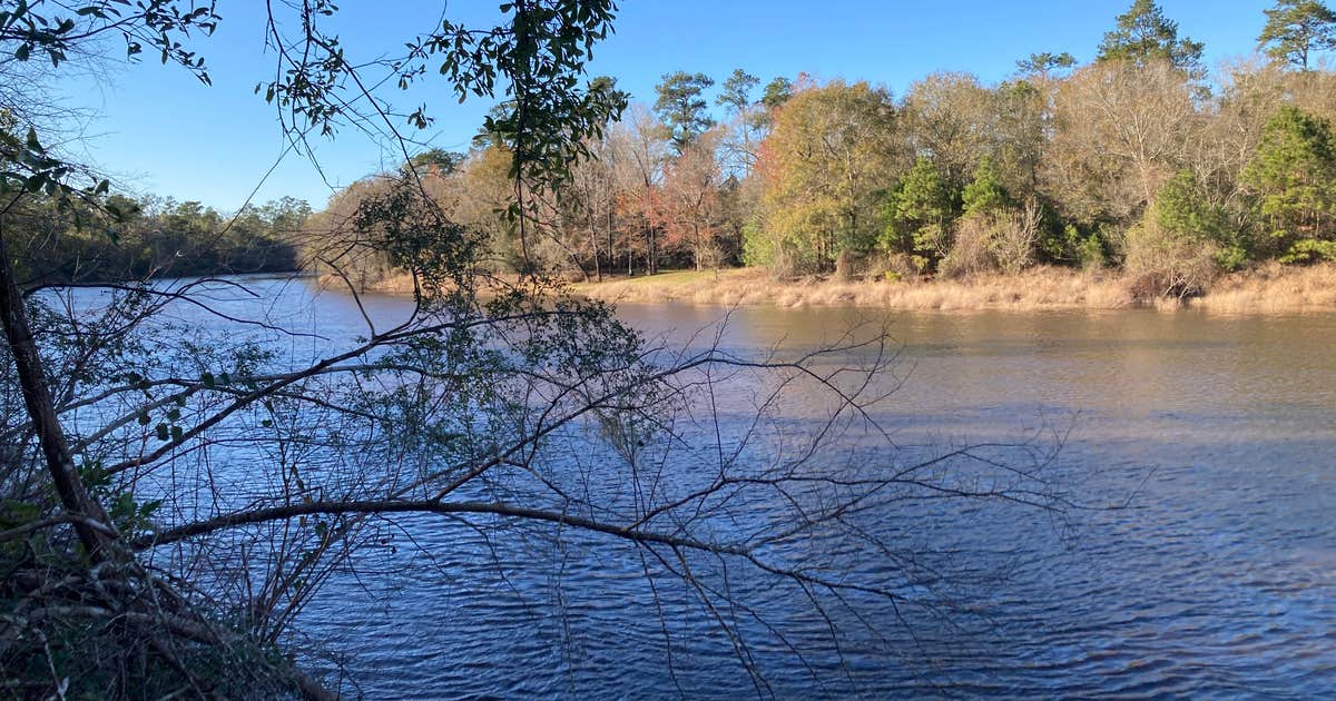 Village Creek State Park | Lumberton, TX