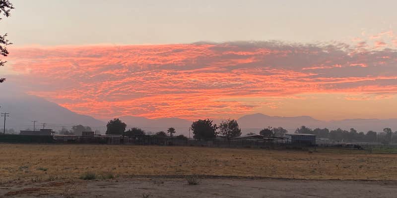 Camper submitted image from Bertling Family Farm