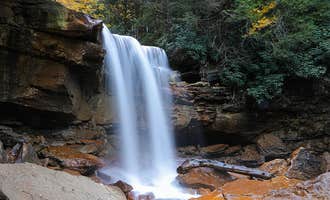 Camping near Five River Campground: Blackwater Falls State Park Campground, Davis, West Virginia