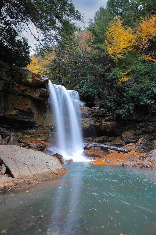 Camper submitted image from Blackwater Falls State Park Campground - 1