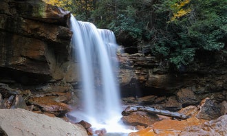 Camping near Brooklyn Heights Riverfront Campground: Blackwater Falls State Park, Davis, West Virginia