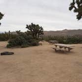 Review photo of Black Rock Campground — Joshua Tree National Park by Larry B., December 26, 2020