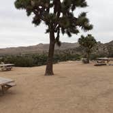 Review photo of Black Rock Campground — Joshua Tree National Park by Larry B., December 26, 2020