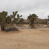 Review photo of Black Rock Campground — Joshua Tree National Park by Larry B., December 26, 2020