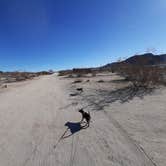 Review photo of Chiriaco Summit Dry Camp Area by Larry B., December 26, 2020