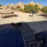 Review photo of Jumbo Rocks Campground — Joshua Tree National Park by Larry B., December 26, 2020