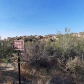 Review photo of Jumbo Rocks Campground — Joshua Tree National Park by Larry B., December 26, 2020
