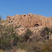 Review photo of Jumbo Rocks Campground — Joshua Tree National Park by Larry B., December 26, 2020