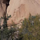 Review photo of Jumbo Rocks Campground — Joshua Tree National Park by Larry B., December 26, 2020