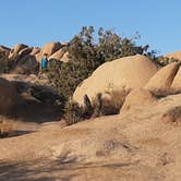 Review photo of Jumbo Rocks Campground — Joshua Tree National Park by Larry B., December 26, 2020