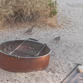 Review photo of Jumbo Rocks Campground — Joshua Tree National Park by Larry B., December 26, 2020