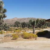 Review photo of Black Rock Campground — Joshua Tree National Park by Larry B., December 26, 2020