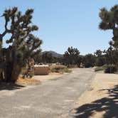 Review photo of Black Rock Campground — Joshua Tree National Park by Larry B., December 26, 2020