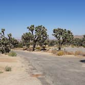 Review photo of Black Rock Campground — Joshua Tree National Park by Larry B., December 26, 2020