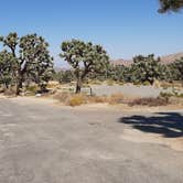 Review photo of Black Rock Campground — Joshua Tree National Park by Larry B., December 26, 2020