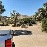 Review photo of Black Rock Campground — Joshua Tree National Park by Larry B., December 26, 2020