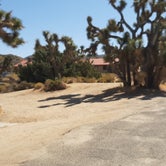 Review photo of Black Rock Campground — Joshua Tree National Park by Larry B., December 26, 2020