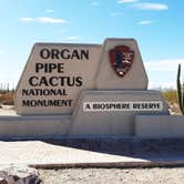 Review photo of Twin Peaks Campground — Organ Pipe Cactus National Monument by Larry B., December 21, 2020