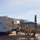 Review photo of Twin Peaks Campground — Organ Pipe Cactus National Monument by Larry B., December 21, 2020