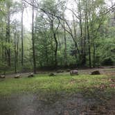 Review photo of Grandview Sandbar Campground — New River Gorge National Park and Preserve by Dave V., May 26, 2018