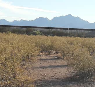 Camper-submitted photo from Gachado Line Camp — Organ Pipe Cactus National Monument